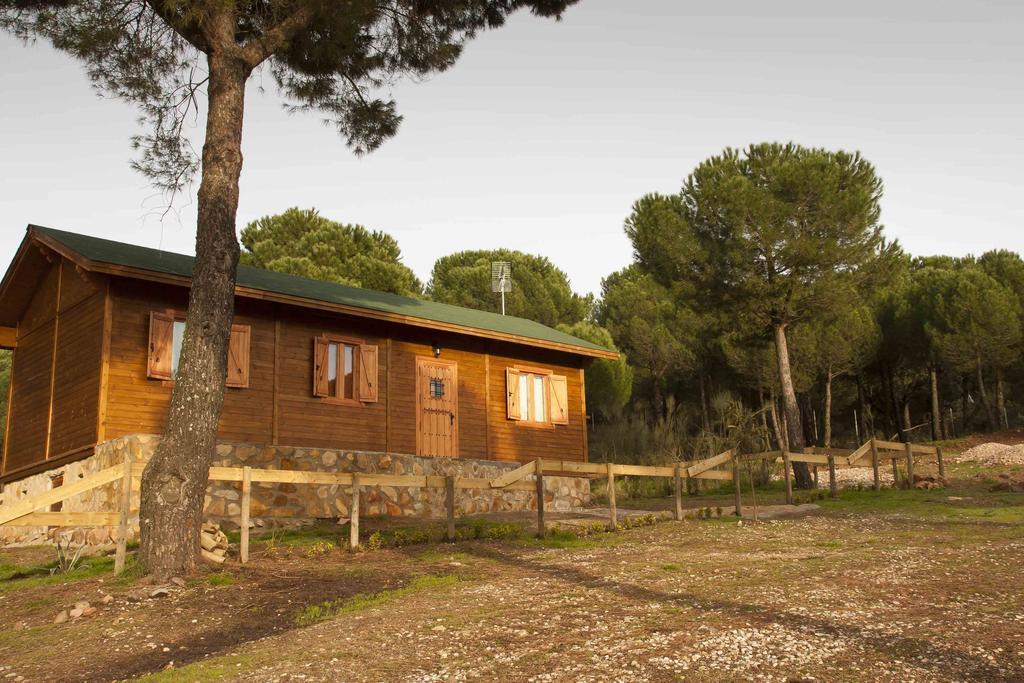 Apartamentos Paraje San Gines Andújar Exteriér fotografie